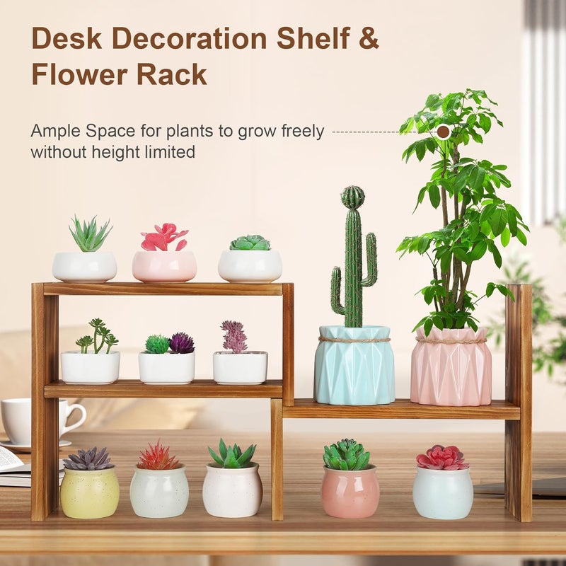 OcBuct 5 Tiered Small Window Plant Shelf,Wooden Desktop Plant Stand Indoor ,Table Top Plants Shelves,Window Sill Shelf for Plants Lovers,Succulent, Countertop Plant Rack Holder - Image 3